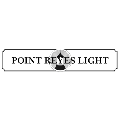 Point-Light-Reyes-Logo.png